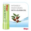 Blistex Jojoba Rescue Lip Balm, Helps Moisturise and Hydrate Lips,