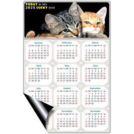2025 Magnetic Calendar - Calendar Magnets - Today is my Lucky Day - (Fade, Tear, and Water Resistant) - Cat Themed 010 (5.25 x 8)