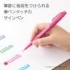 Pentel SES15C-30STH Brush Touch Sign Pen, Set of 30 Colors