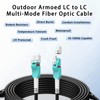 100M/328FT OM3/OM4 LC to LC Outdoor Armored Fiber Optic Patch