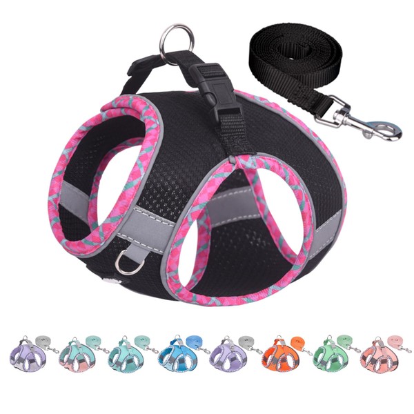 AIITLE Durable Dog Harness and Lead Set for Walks, Step