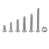 Fasizi 230Pcs M2 304 Stainless Steel Allen Hex Drive Button