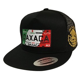 PLACA DE Oaxaca Logo Federal 2 Logos HAT Black MESH