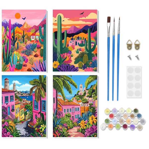 DOMROM Paint by Number for Adults Framed Canvas, 4 Pack