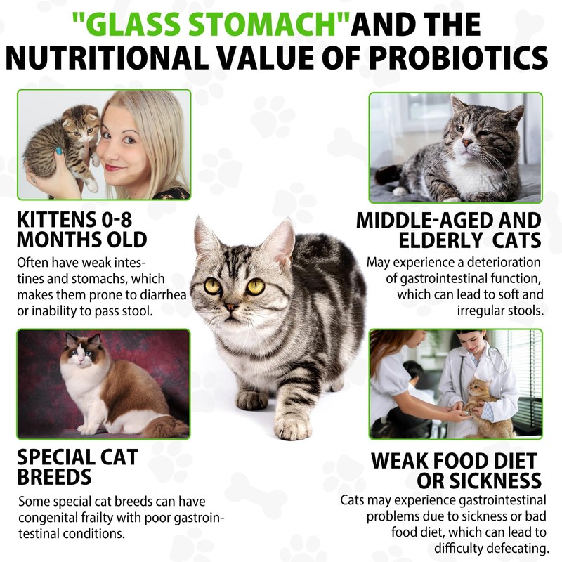 Cat Constipation Relief, Cat Laxative, Constipation Relief for Cat, Cat