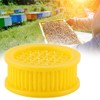CHEOTIME 6 Pieces Queen Bee Cages, Queen Bee Catcher /