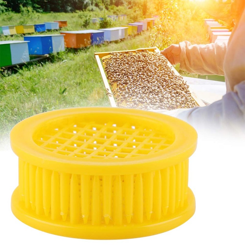 CHEOTIME 6 Pieces Queen Bee Cages, Queen Bee Catcher /
