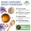 30 Bags Tea Chicory Root Tea Herbal (Cichorium Intybus) -