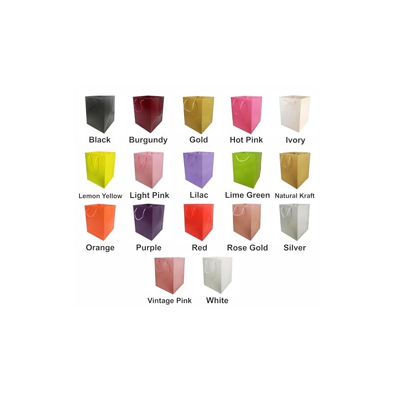 Glossy Vibrant Flower Gift Bag, Bouquet Vase | Valentines |