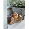 Objectz Hedgehog Group with Toadstool Table or Garden Decoration, Beautiful