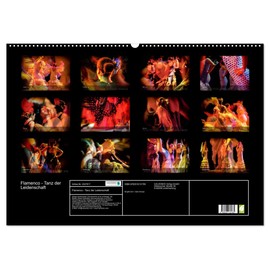 Flamenco - Tanz der Leidenschaft (Wandkalender 2026 DIN A2 quer), CALVENDO Monatskalender: Flamenco, der spanische Tanz der Leidenschaft. (CALVENDO Menschen)