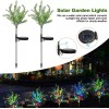 NineFox Paquete 2 Luces Solares Para Jardín 15 Led Multicolor