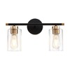 Uiimeces Black Bathroom Light Fixtures, 2-Light Bathroom Vanity Light Over