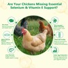 Selenium and Vitamin E Powder for Chickens, Selenium for Chickens,
