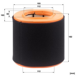 MANN-FILTER C 20 043 Air Filter for Cars and Vans