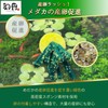 Waka Medaka Egg Spawning Float, Set of 6, Floats in