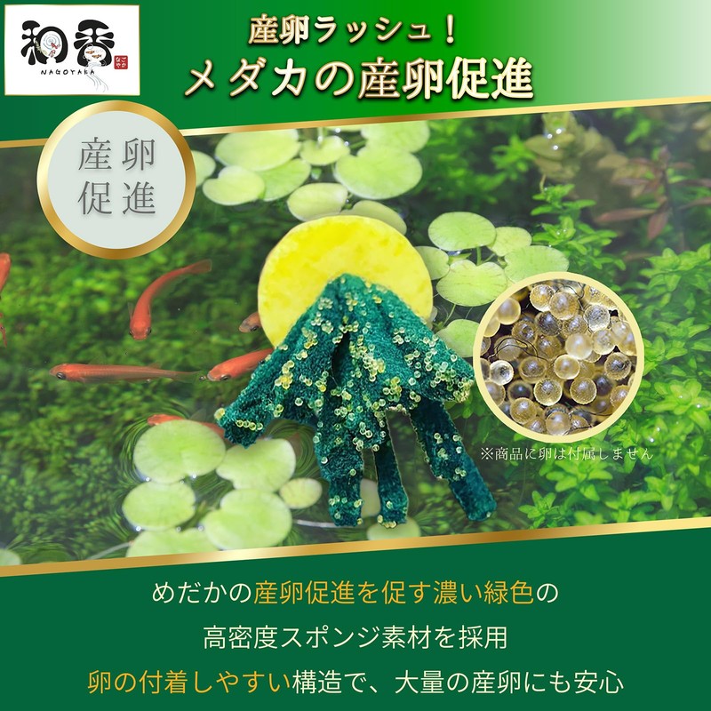 Waka Medaka Egg Spawning Float, Set of 6, Floats in