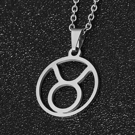 ZENSE - ZP0235-A Taurus Zodiac Sign Necklace for Men Diameter 2 cm with Chain, Metal, None