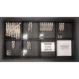Stainless Cycle Yamaha DT250 1974-76 Polished Stainless Engine Bolt Kit Set DT250a DT250b DT250c