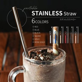AngeliqueShop Stainless Steel Straw, Includes Cleaning Brush and Carabiner Ideal for Carabiners, Choose from 6 Colors (Silver)