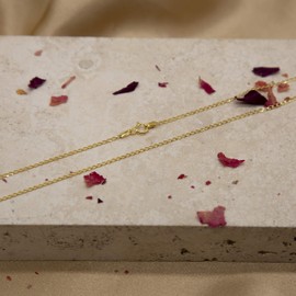 Carissima Gold Unisex 9 ct Yellow Gold 1.6 mm Flat Curb Chain Necklace of Length 46 cm/18 Inch