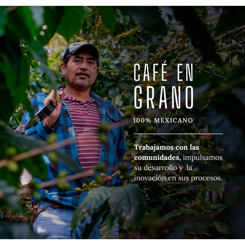 Café de Especialidad Premium Selvaggio en Grano 470 Gramos
