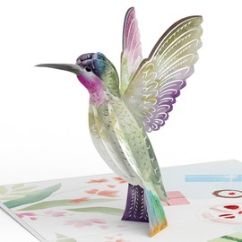 Lovepop Lovepop Hummingbird Birthday Card, 5 x 7 in, Pop Up 3D Birthday Card, Blank Note Card Slides Out Craft Paper, Art Meets Engineering, Slicegami Technique