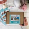 Bergin & Bath Needle Felting Kit, Mice. DIY Craft kit