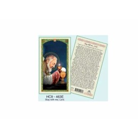 Stay With Me Lord Saint Pio of Pietrelcina Laminated Prayer Cards Pack of 25 Eng