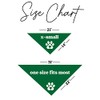 Biggest Fan Soccer Dog Bandana (Green, OS 539)