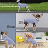 Wabdhally Dog Surgery Recovery Suit,Surgical Recovery Female Spay Suit for