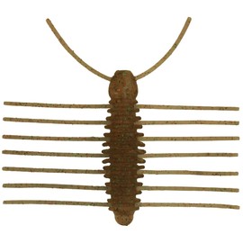 Imakatsu #S-356 Raydown Shrimp Triprotozoa (Eco-Compatible)