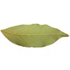 EliteKoopers 100g Indian Spice Dry Bay Leaf Leaves Dried Indian