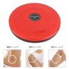 Giyomi Twisting Board, Spin Board, Twister Diet, Spin Trainer, Waist