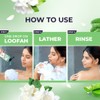 Lux Freesia Scent & Aloe Vera Bodywash - 245 ml/8.28