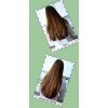 Shampoo Cola De Caballo, Crecimiento Sheló Nabel Cont 950 Ml