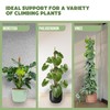2 Pack 48" and 28'' Bendable Moss Pole Monstera Plant