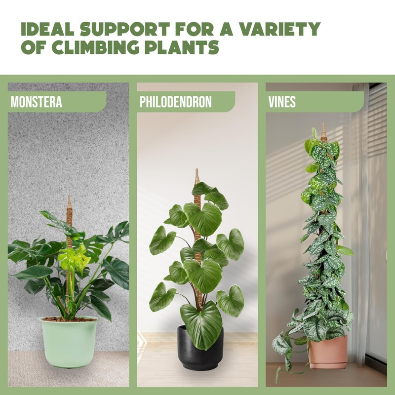 2 Pack 48" and 28'' Bendable Moss Pole Monstera Plant
