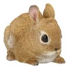 Figuren Shop GmbH Garden Rabbit Figurine - Weatherproof & Hand-Painted