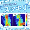 LEC N00021 Rec Heated Rescue Gekike-kun Body Cool Sheet (20