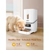 NPET Automatic Cat Feeder, 6L Dog Food Dispenser with Desiccant