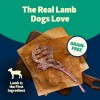 Blue Buffalo Freedom Grain Free Lamb Recipe Wet Dog Food