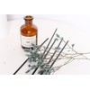 WEALD TRIBE Reed Diffuser Set for Bathroom Decor, Sticks Diffuser
