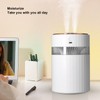 Humidifier Large Capacity Portable 900ml Mute Double Spray Design Desktop