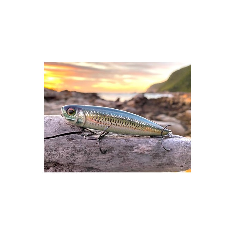 Rapala - Precision bait precision Xtreme pencil plastic construction -