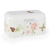 Lenox 892520 Butterfly Meadow Breadbox, 11.25" L x 6.5" W