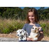 Keel Toys 25cm Signature Cuddle Puppy Husky