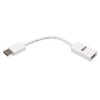 DisplayPort to HDMI Active Adapter 4K M/F White DP to
