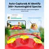 Hummingbird Feeder with Camera Solar Powered W/32G Card, AI Identify