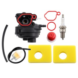 Vergaser mit Luftfilter für Briggs & Stratton 799583 593261 595656 591979 300E 450E 500E 550EX, Rasenmäher Motor, Rasenmäher Vergaser mit Kraftstoffleitungs-Set